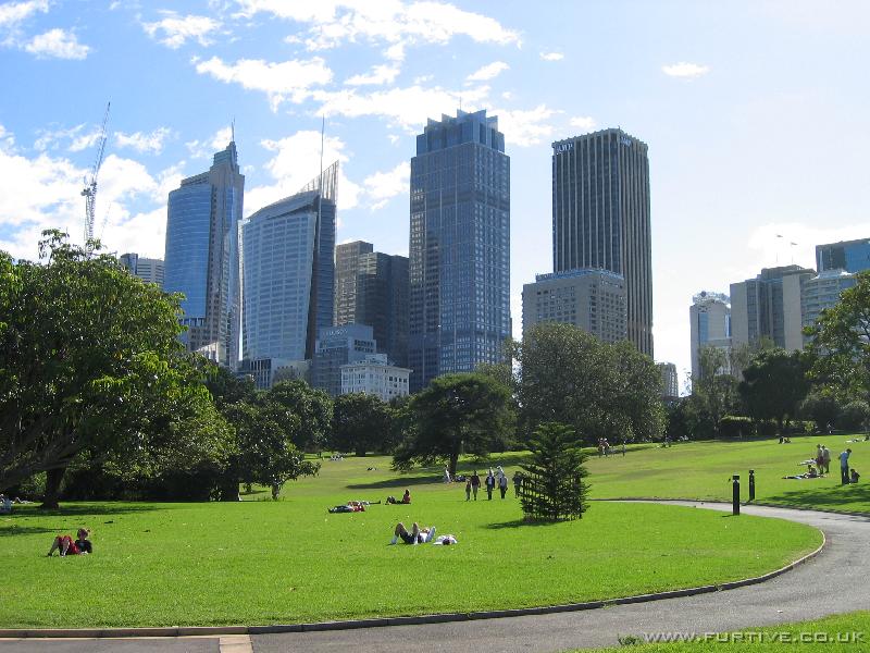 IMG_3145 Sydney skyline from the botanical gardens